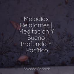 Melodías Relajantes | Meditación Y Sueño Profundo Y Pacífico - Musica Relajante Specialistas & Musica Relajante