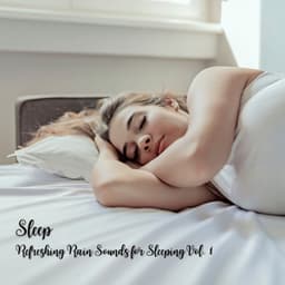 Sleep: Refreshing Rain Sounds for Sleeping Vol. 1 - Sleepy Pets