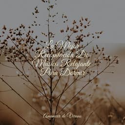 La Mejor Recopilación De Música Relajante Para Dormir - Chakra Balancing Sound Therapy