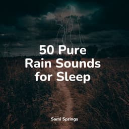 50 Pure Rain Sounds for Sleep - Entspannungsmusik Oase