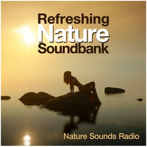 Refreshing Nature Soundbank - Nature Sounds Radio