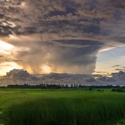 New Age Music with Gentle Rain Sounds - Light Spa Music Easy Going - Deep Sleep