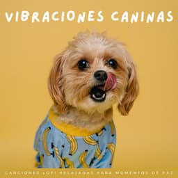 Vibraciones Caninas: Canciones Lofi Relajadas Para Momentos De Paz - Escalofrío Lofi