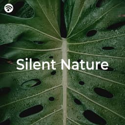 Silent Nature - Nature Sounds Nature Music