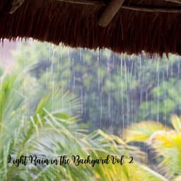 Light Rain in the Backyard Vol. 2 - Native American Nature