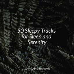 50 Sleepy Tracks for Sleep and Serenity - Yoga Namaste