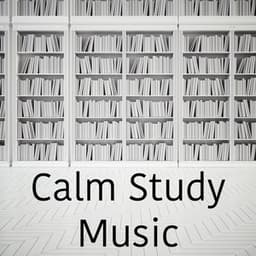 Calm Study Music - Studying Music Group