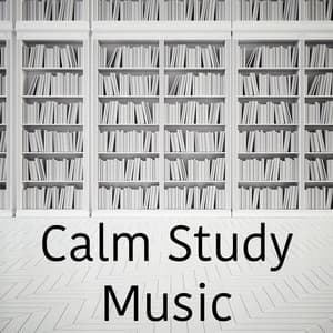 Calm Study Music - Studying Music Group