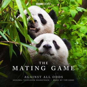 The Mating Game - Against All Odds - Tom Howe