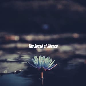 The Sound of Silence - Office Work Music