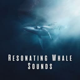 Resonating Whale Sounds - Sea of Waves