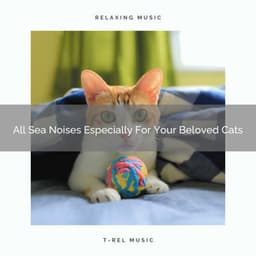 All Sea Noises Especially For Your Beloved Cats - Cat Total Relax
