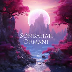 Sunset Sea: Yin Yoga To Swim Into Your Depths, Yoga On The Beach - Yin Yoga Academy