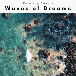 2022 Waves of Dreams - Sleep Tech