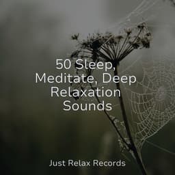50 Sleep, Meditate, Deep Relaxation Sounds - Zen Music Garden