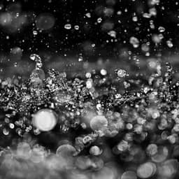 Gentle Showers and Angry Thunderstorms - Sonidos de lluvia agradables