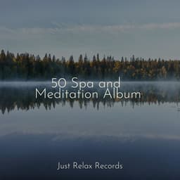50 Spa and Meditation Album - Guided Meditation