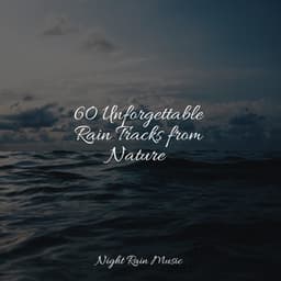 60 Unforgettable Rain Tracks from Nature - Soothing Nature Sounds