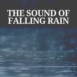 The Sound of Falling Rain - 24H Rain Sounds