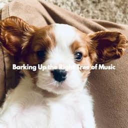 Barking Up the Right Tree of Music - Dog Calming Music