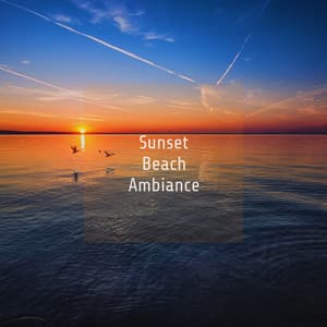 Sunset Beach Ambience - Ocean Waves