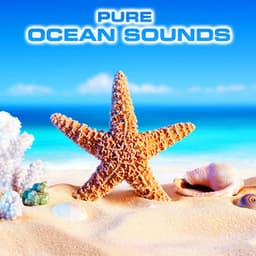 Pure Ocean Sounds - Ocean Sounds FX