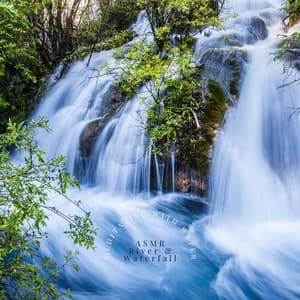 Meditating with Water - ASMR River & Waterfall