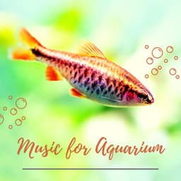 Music for Aquarium - Relaxing Music for Fish - Sleep Music System