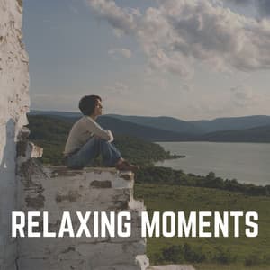 Relaxing Moments - Relaxing Music