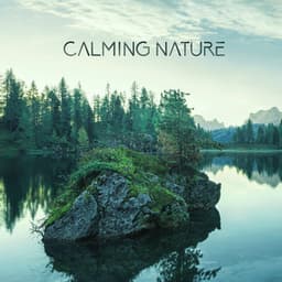 Calming Nature: Serenity Spa, Relaxation, Meditation, Yoga, Massage - Instrumental