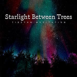 Starlight Between Trees - Tibetan Meditation