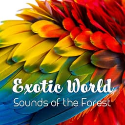 Exotic World - Sounds of the Forest, Sea, Birds, Tropical Rainforest, Night Animals and Wild Life for Deep Relaxation and Mental Restoration - Mothers Nature Music Academy