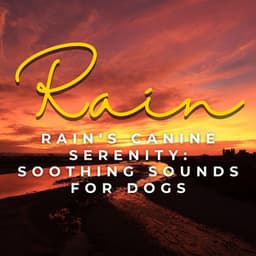 Rain's Canine Serenity: Soothing Sounds for Dogs - Dog Music Legends