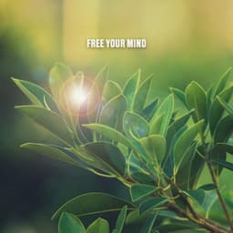 Free Your Mind - Nature Sounds