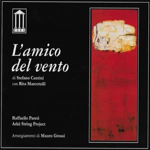L'amico del vento - Stefano Cantini