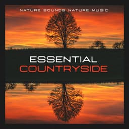Essential Countryside - Nature Sounds Nature Music