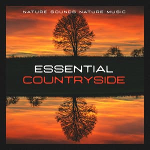 Essential Countryside - Nature Sounds Nature Music