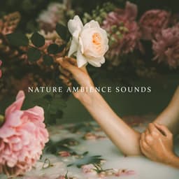 Nature Ambience Sounds for Spa, Wellness, Sauna and Bath - Spa Music Consort