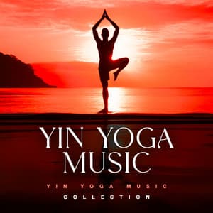 Yin Yoga Music - Yin Yoga Music Collection