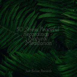 50 Stress Peaceful Recordings - Natural Meditation - Yoga