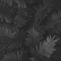 Ambiance for Unique Thoughts - Instrumental Jazz Trio New York