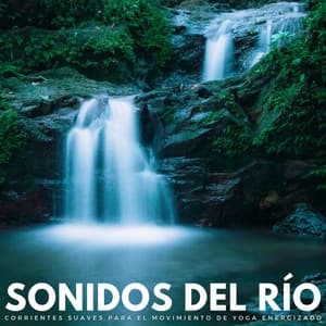 Sonidos Del Río: Corrientes Suaves Para El Movimiento De Yoga Energizado - Sonidos de agua dulce para la paz interior