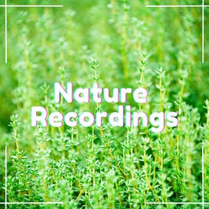 Embrace of Nature - Natural Sample Makers