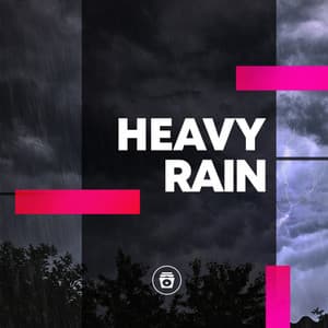 Heavy Rain - Sounds for Life