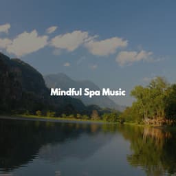 Mindful Spa Music - Spa Atmospheres