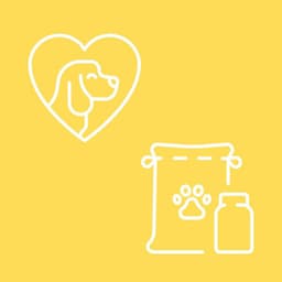 Divine Backdrop for A Gentle Pup - Dog Anxiety Music