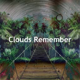 Clouds Remember - Flows of Sleep