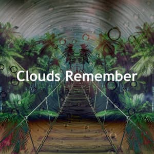 Clouds Remember - Flows of Sleep