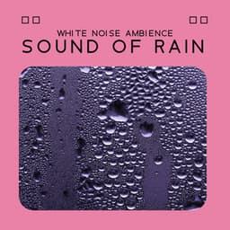 White Noise Ambience Sound of Rain, Peaceful Relaxation For Sleep and Study - Healing Rain Sound Academy