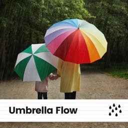 Umbrella Flow - Rainfall